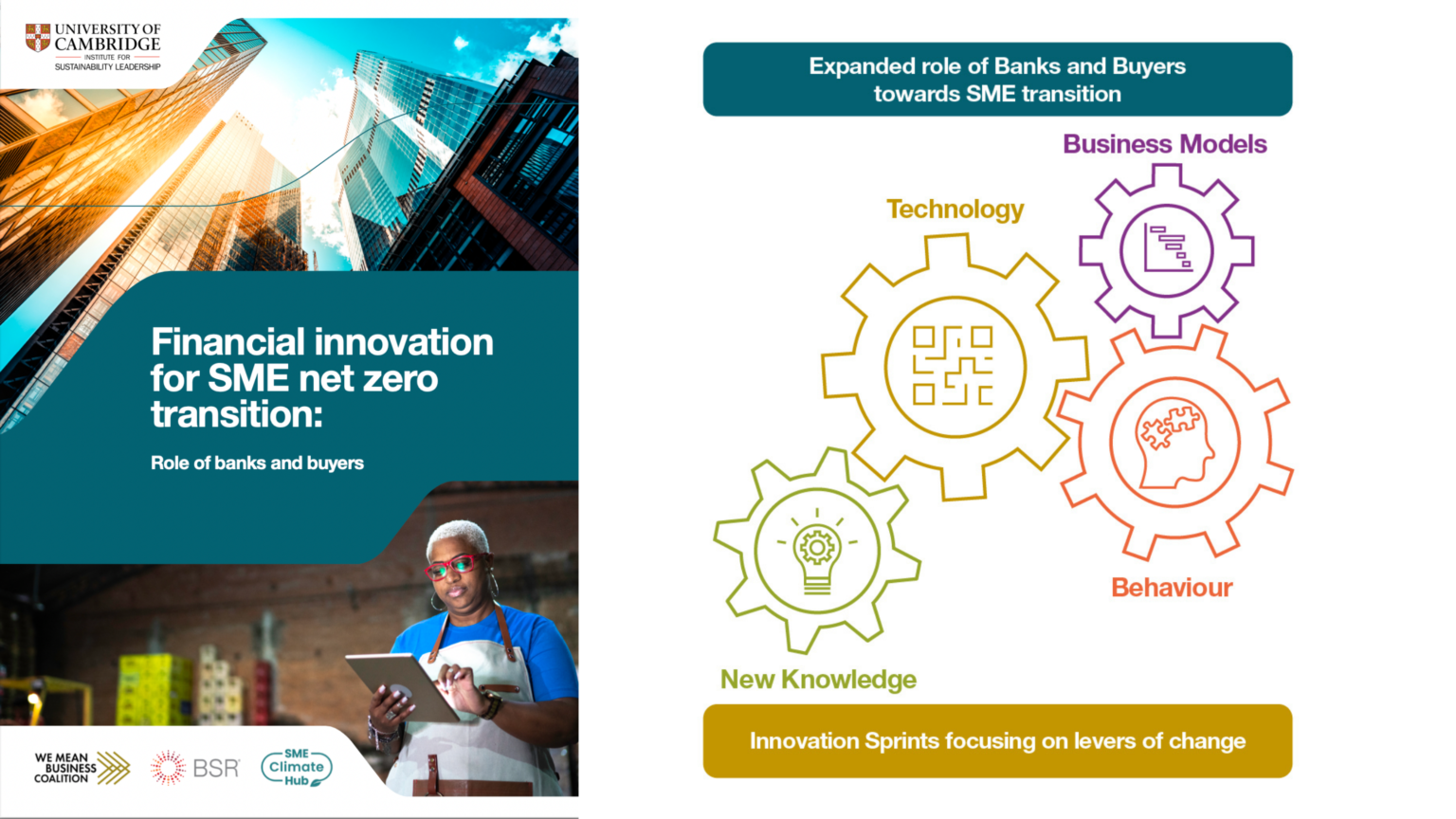 The SME Climate Hub Debuts in Spanish, Increases Accessibility to Net